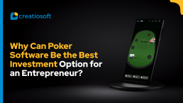 Why Can Poker Software Be the Best Investment Option for an Entrepreneur