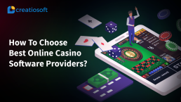 How To Choose Best Online Casino Software Providers?